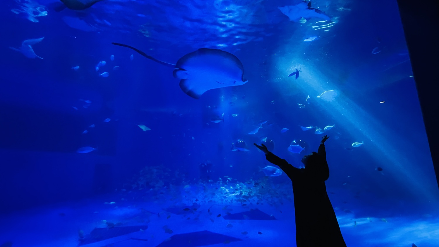 シリーズ・再発見！学びのふるさと① 「流れる島時間 ～能登島探訪～」