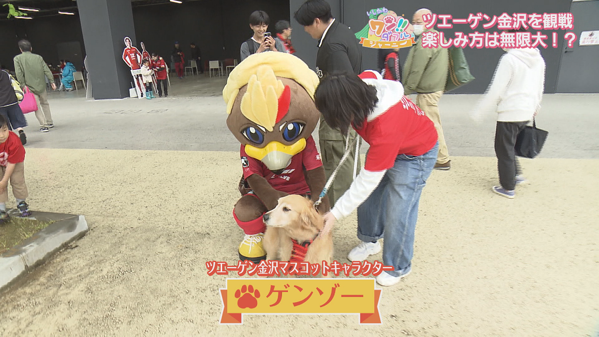 石川県のトップスポーツを体感！