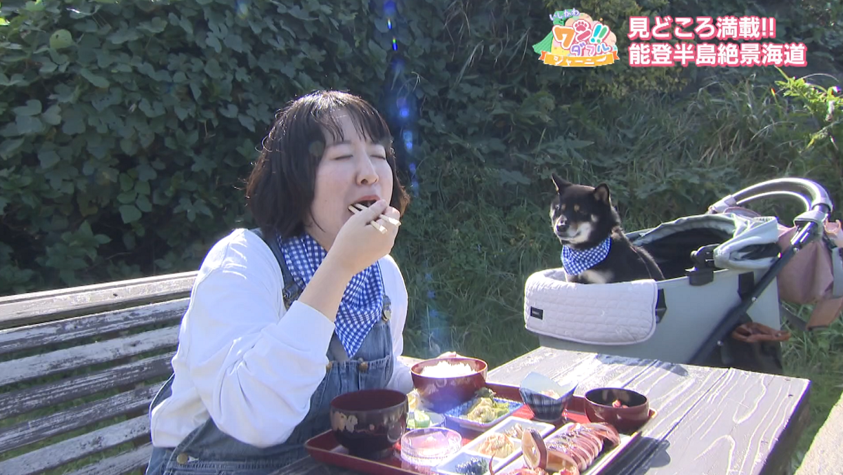 見どころ満載！能登半島絶景海道