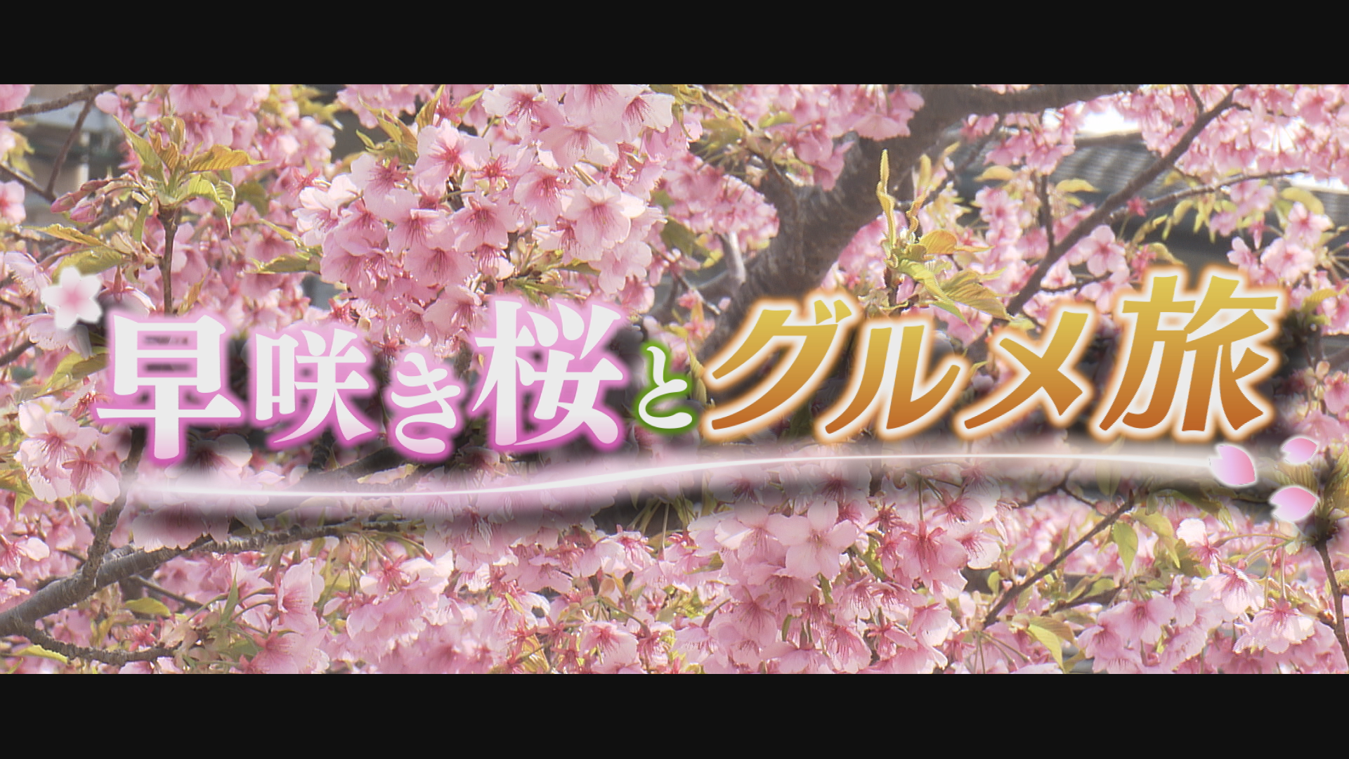2026年3月14日の放送｜ながさきテレビライブ ひるじげドン｜長崎国際テレビ