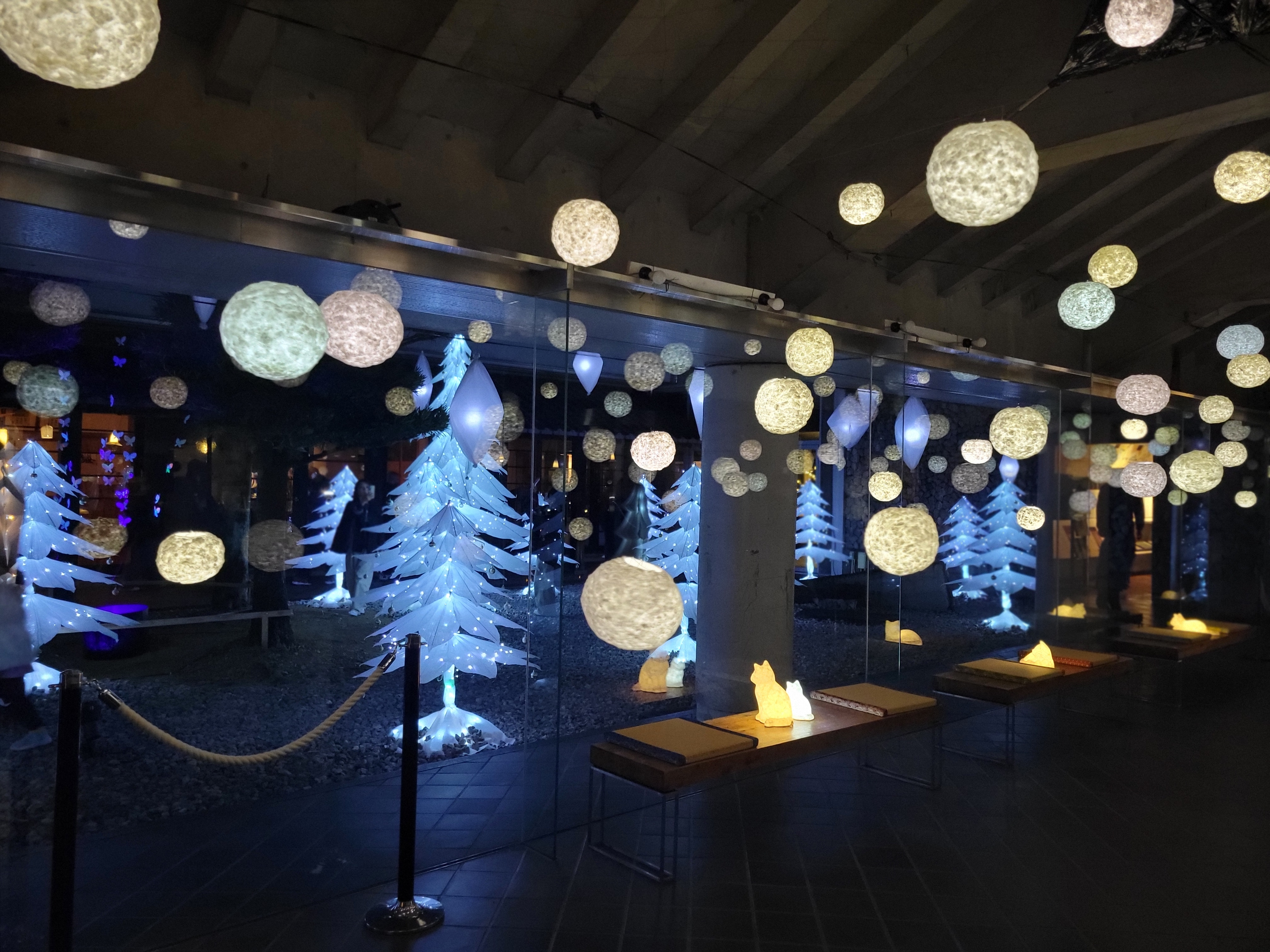 迷い込んだかしら