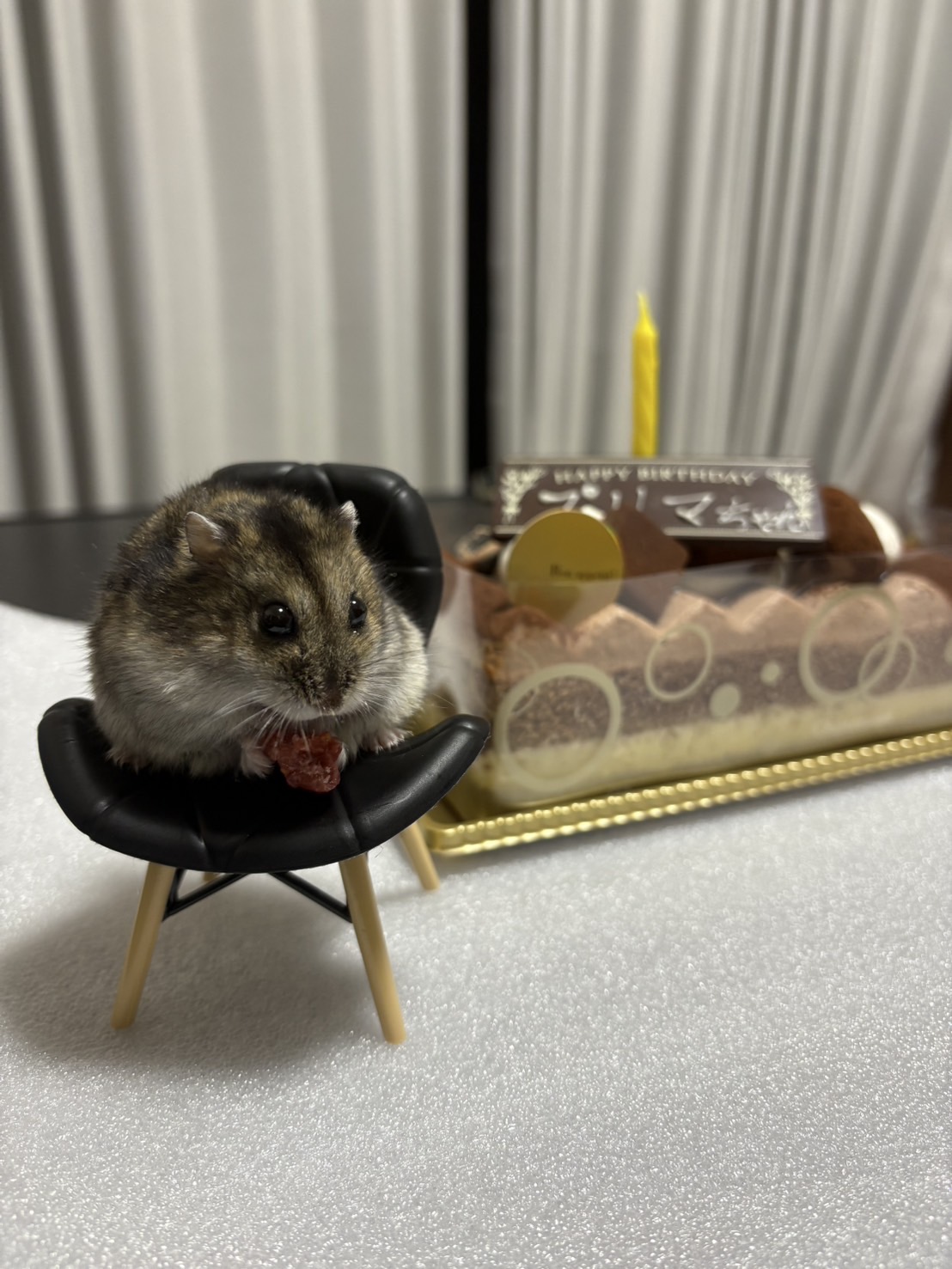 １歳になりました！