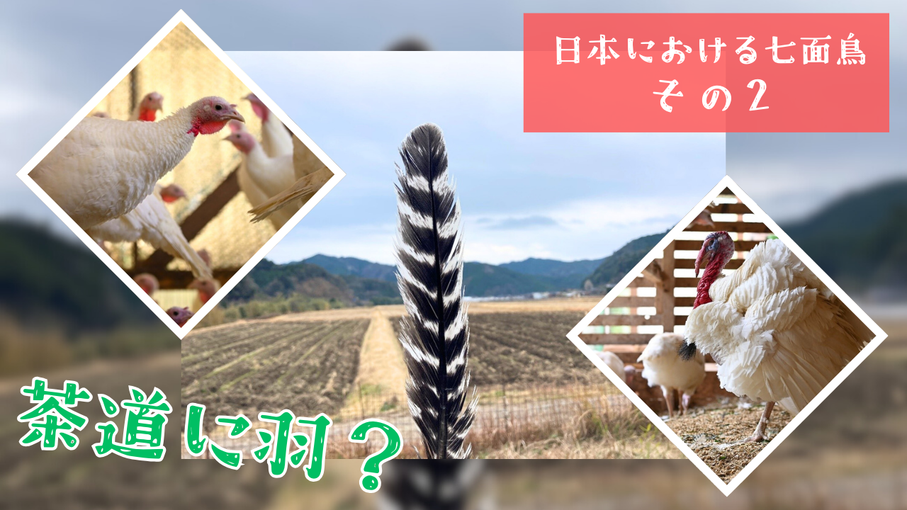 七面鳥のすり身炒めのレシピ