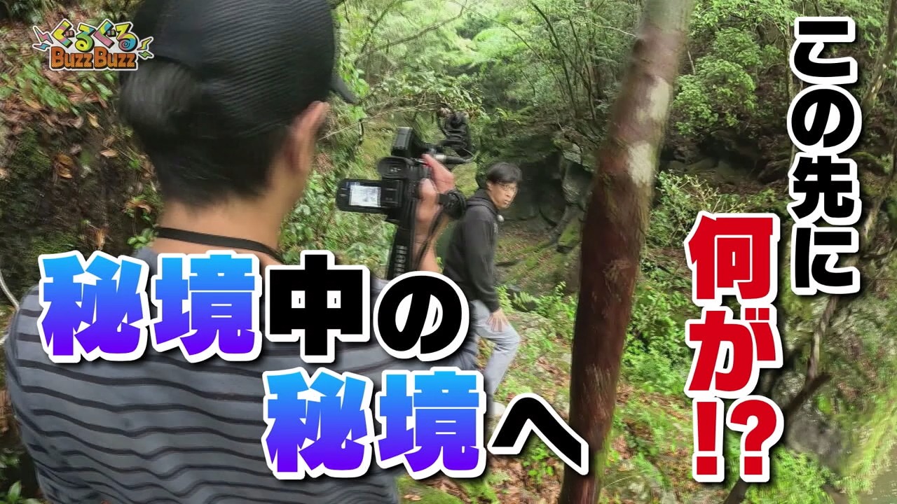 大豊町にある秘境中の秘境エメラルドグリーンの「箕淵（みぶち）」が