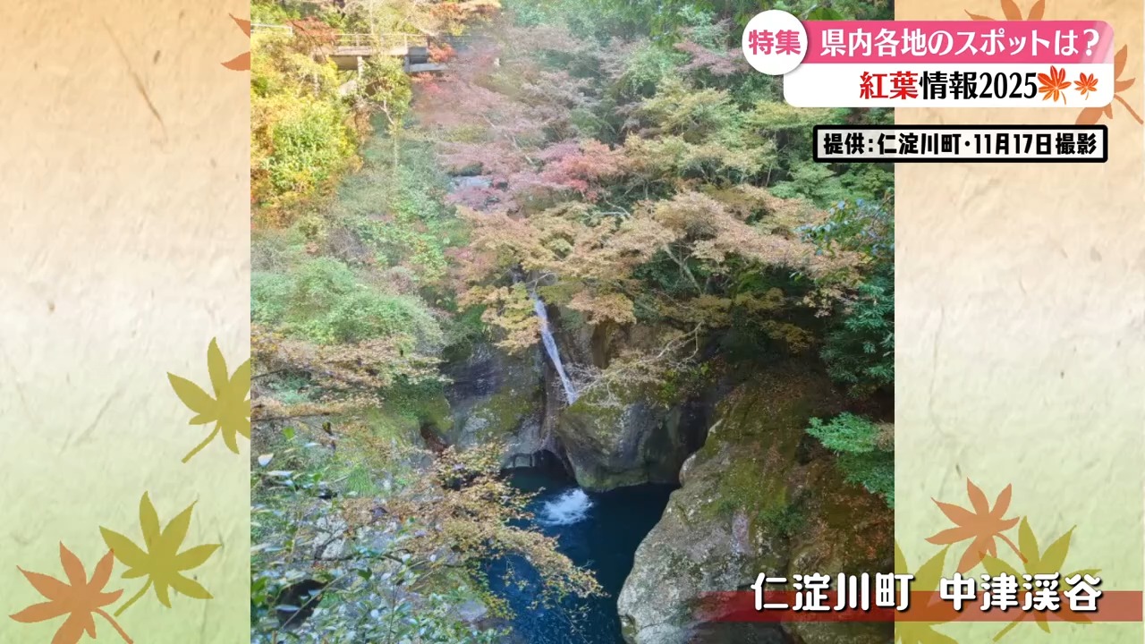 高知旅行 高知観光 高知ドライブ 高知紅葉 高知 紅葉 仁淀川町 中津渓谷