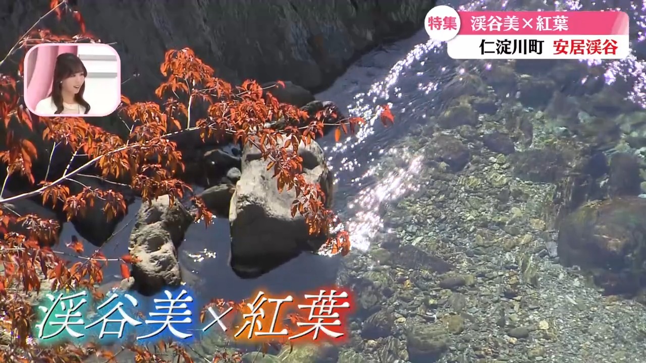 高知旅行 高知観光 高知ドライブ 高知紅葉 高知 紅葉 仁淀川町 安居渓谷