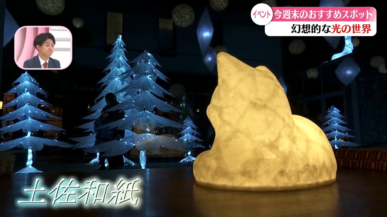 高知県 高知 いの町 紙の博物館 夜の紙博 イベント おでかけ イルミネーション