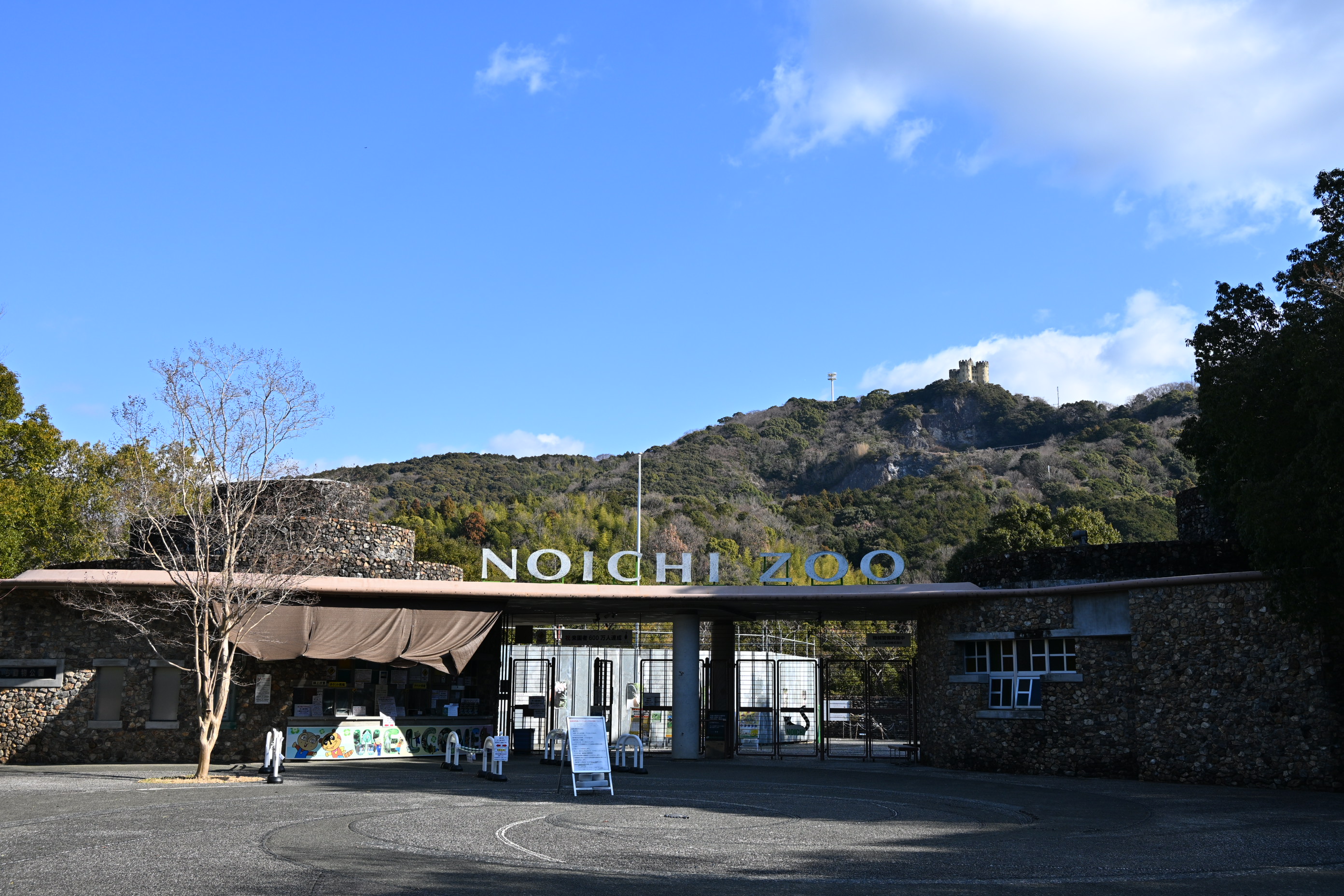 高知県 高知 香南市 旅行 観光 のいち動物公園 動物園 人気 動物