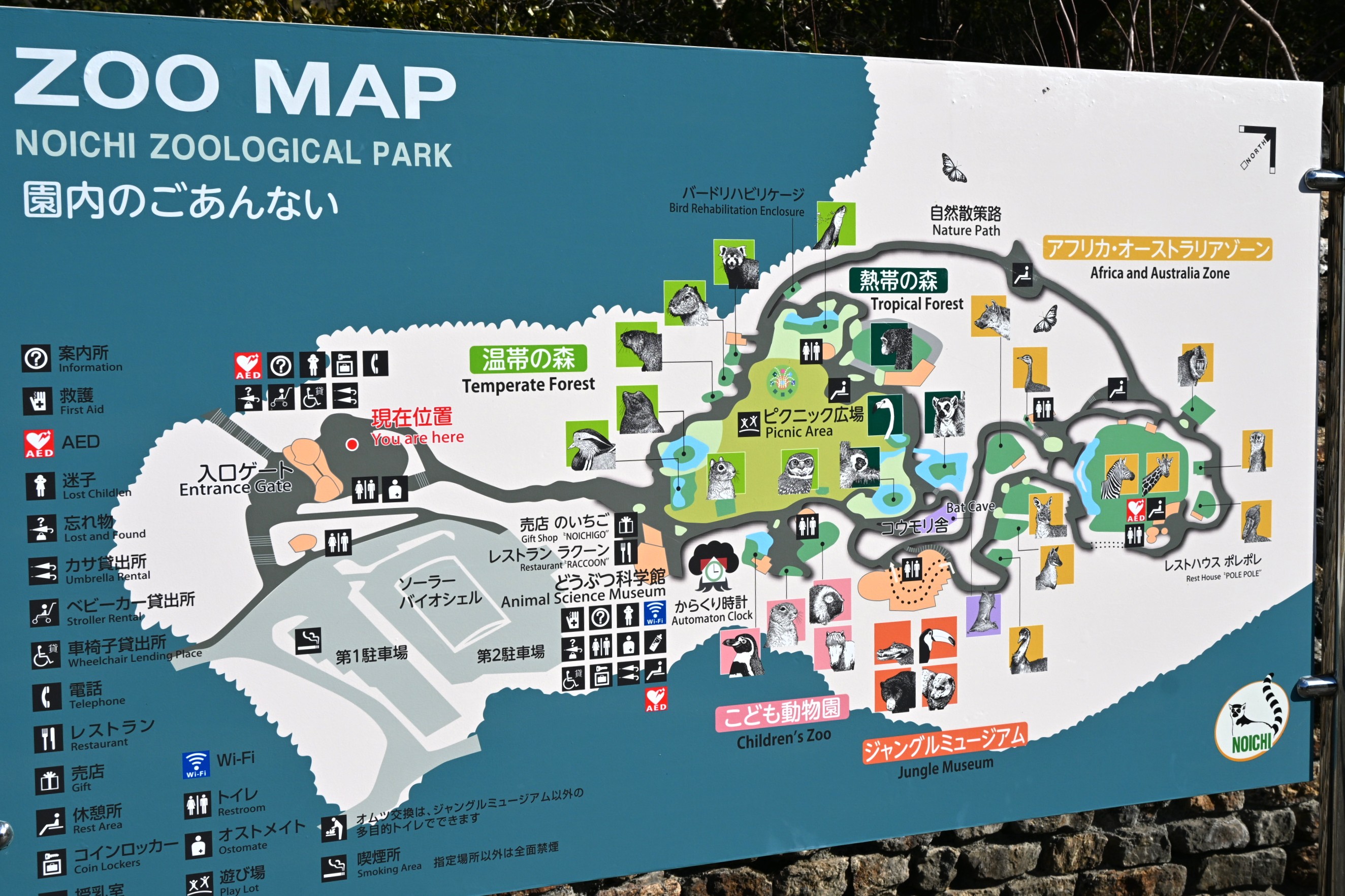 高知県 高知 香南市 旅行 観光 のいち動物公園 動物園 人気 動物