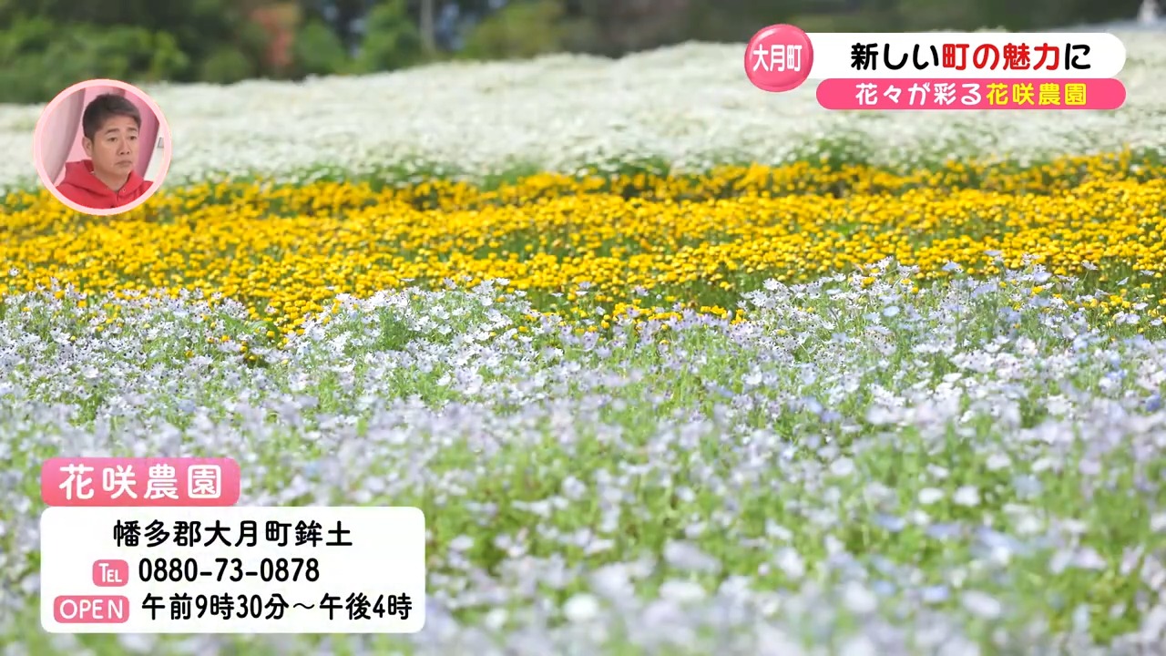 大月町の花咲農園】特集×こうちeye More！｜ぐるぐるこうち ～高知の