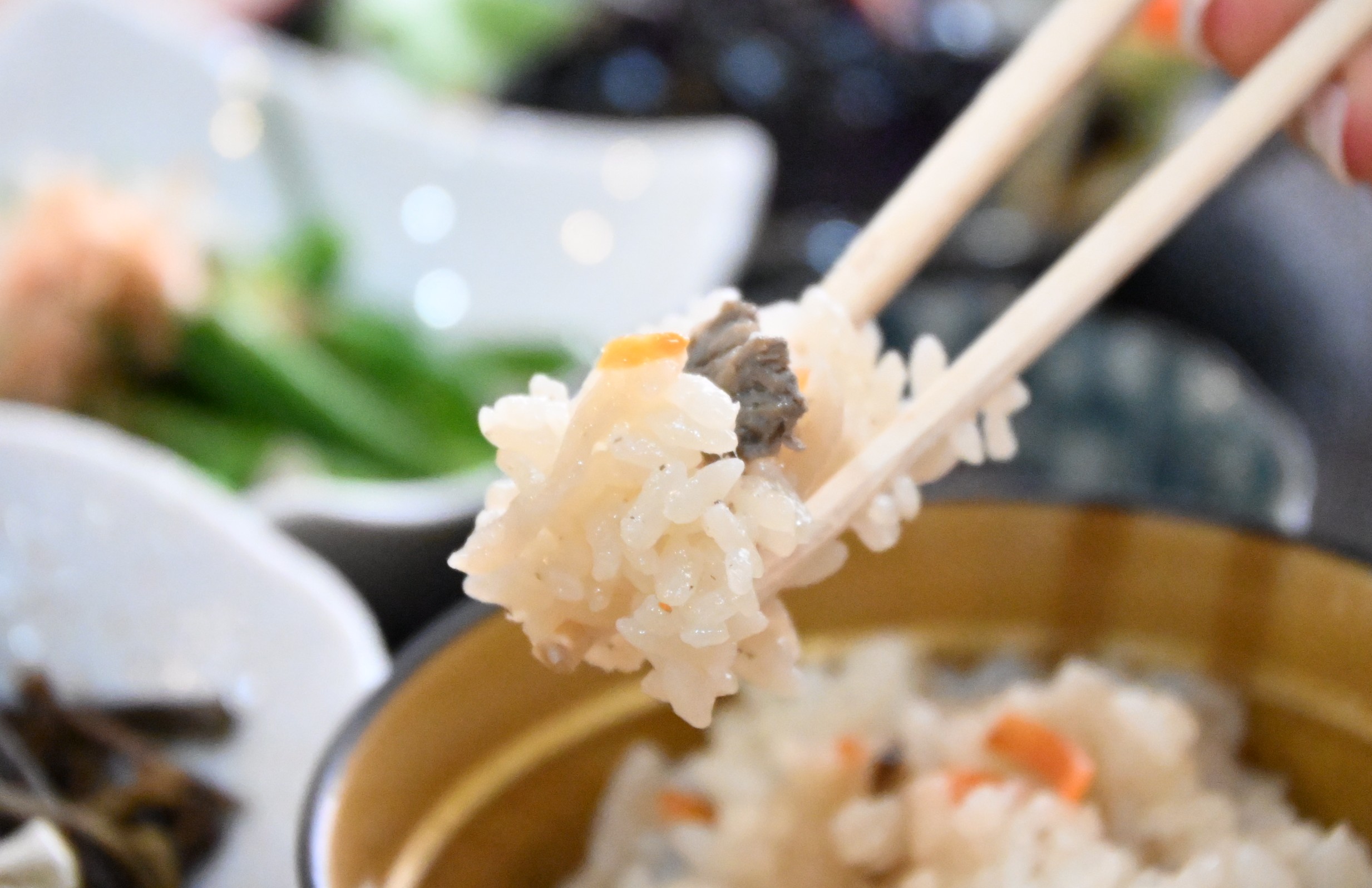 高知ランチ 高知旅行 高知観光 梼原町 くさぶき 茅葺屋根 坂本龍馬 脱藩 定食 キジ