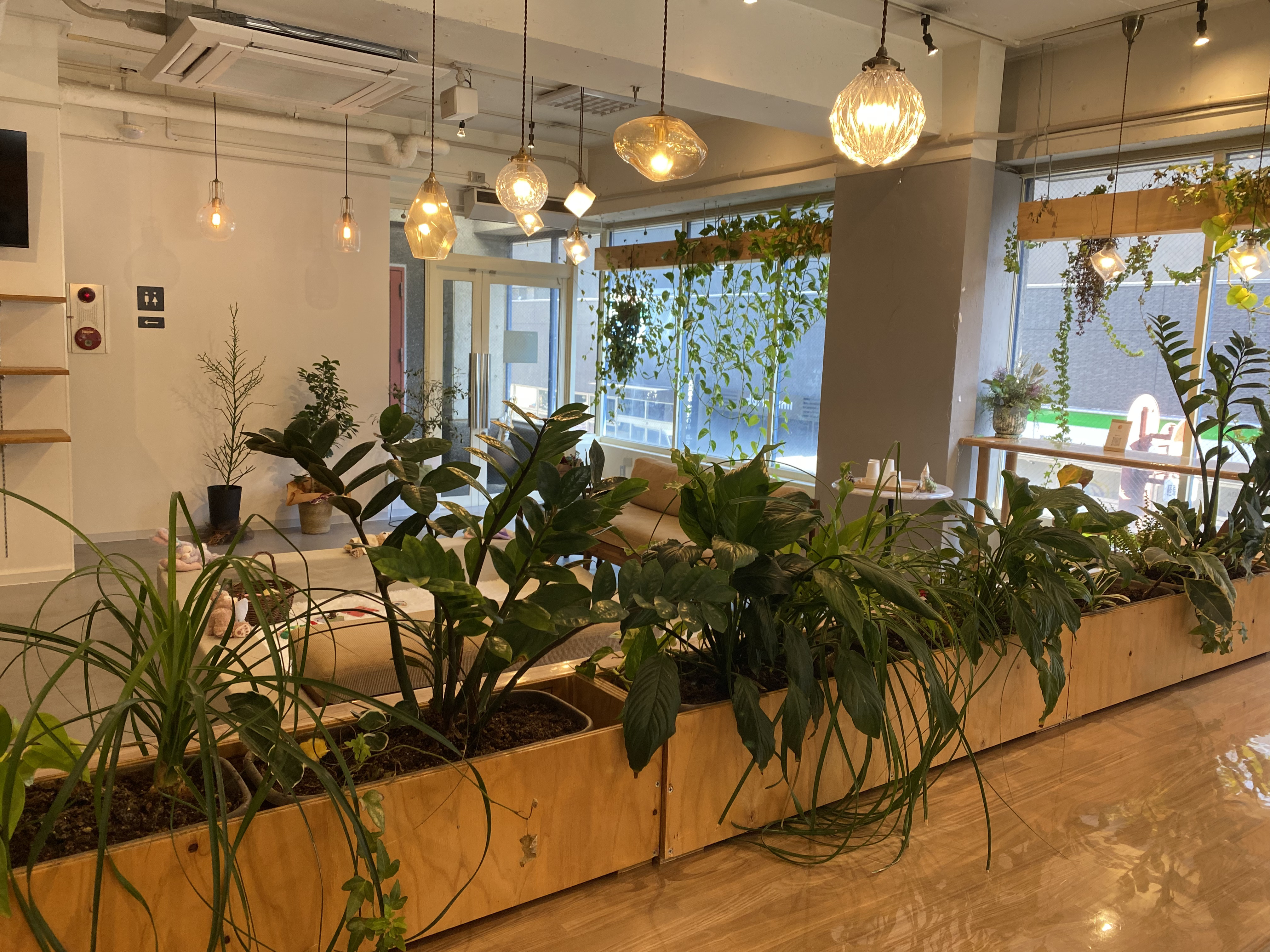 enベーグル,ベーグル,高知県 高知 高知市 イートイン ランチ カフェ かき氷 帯屋町