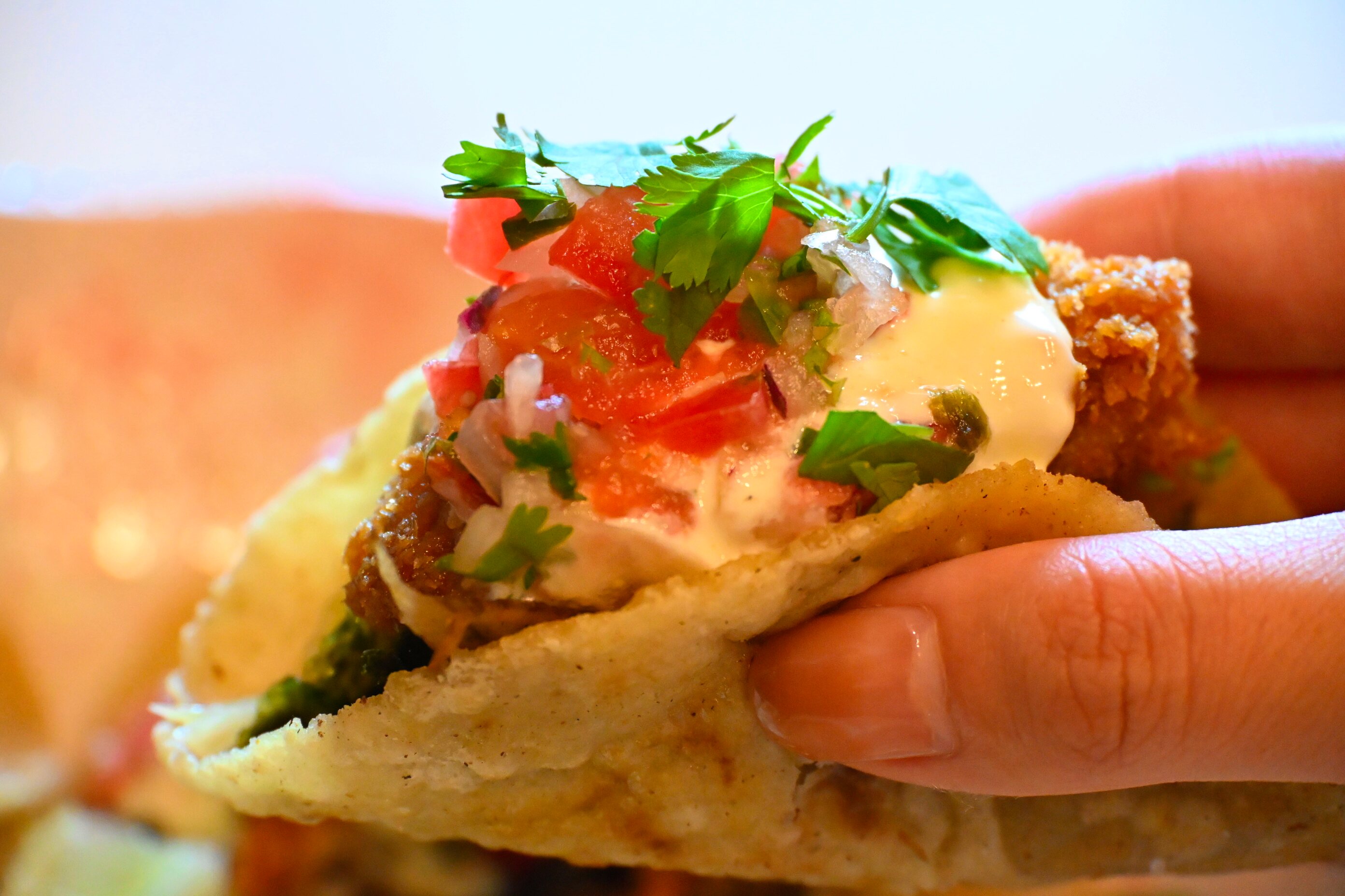 TACOLO@ヒゲとカフェ タコス メキシカンタコス TACOLO 高知タコス 高知新店