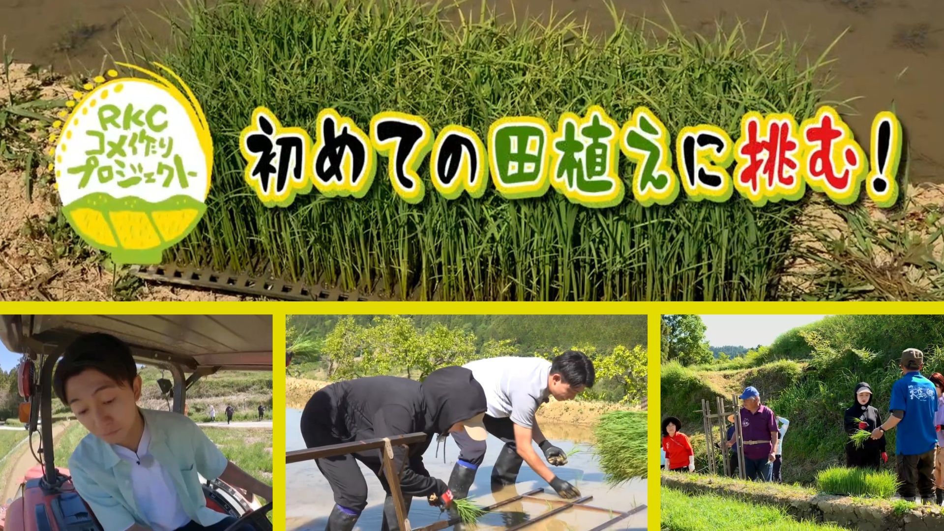RKCコメ作りプロジェクト始動！本山町・吉延で初めての田植えに挑戦