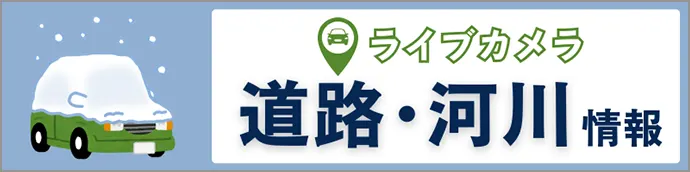 新潟の道路・河川ライブカメラ