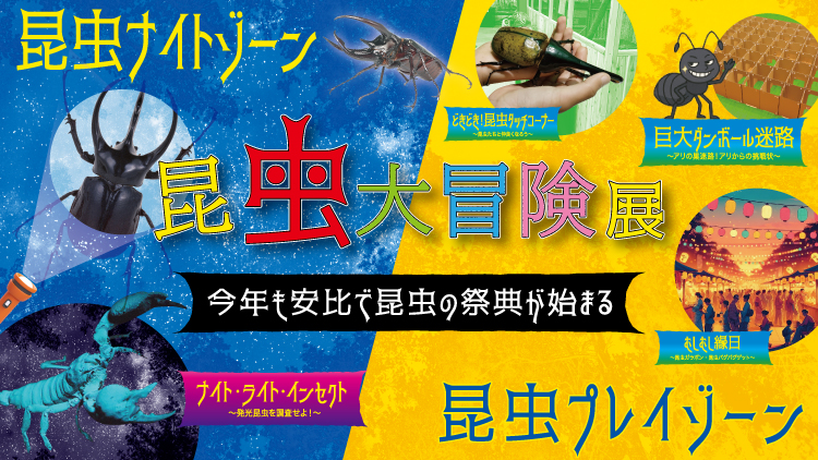 昆虫大冒険展 2025