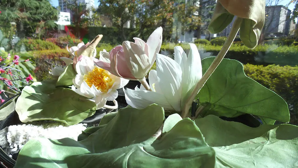 布の染め花の画像3