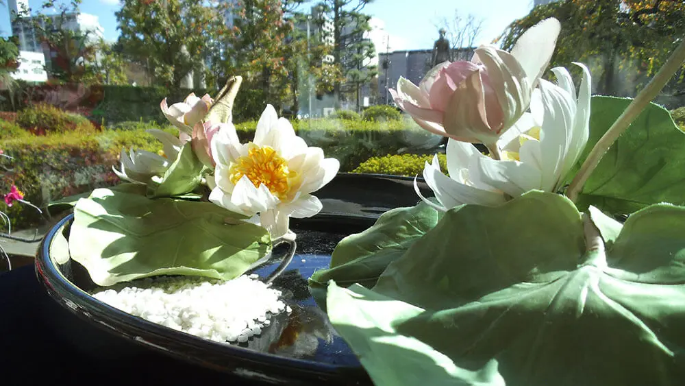 布の染め花の画像4