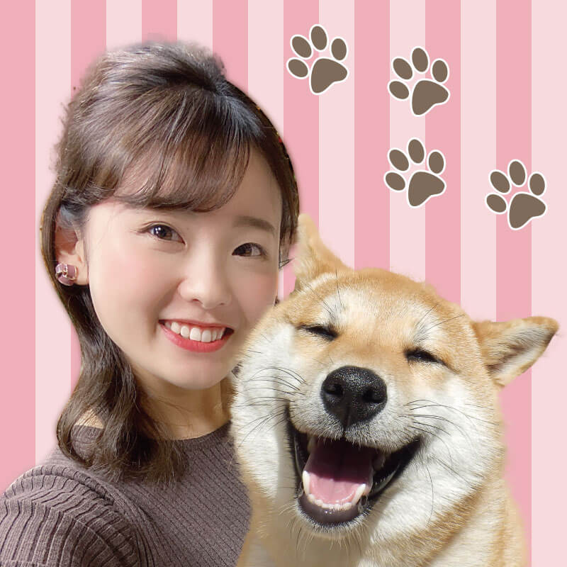 ちょペット出張版