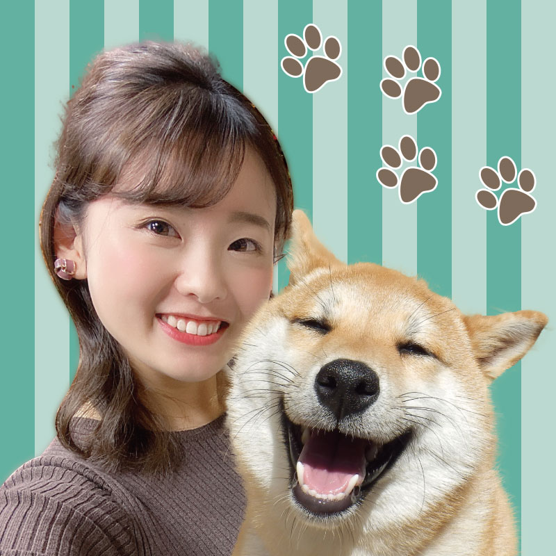 ちょペット出張版