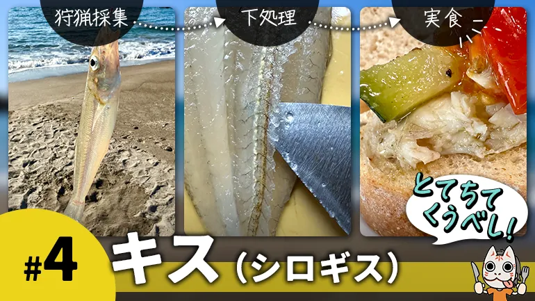 夏のレジャーに!キスを釣って食べようの画像