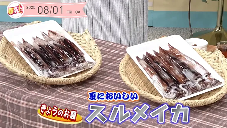 5きげん知恵袋 ～夏においしい スルメイカ～の画像