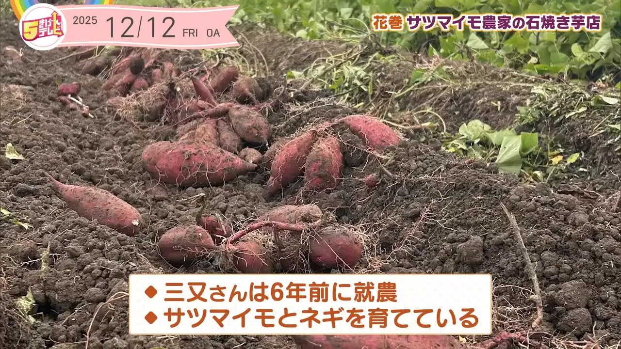 サツマイモ農家の石焼き芋店 | Vegechu｜テレいわ屋
