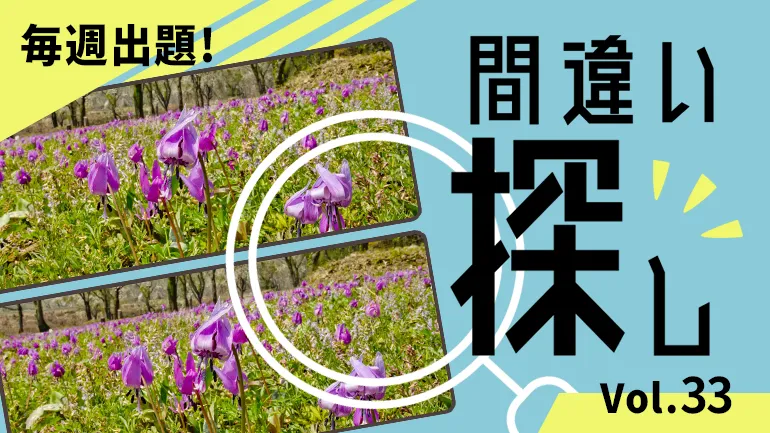 間違い探し Vol.33の画像