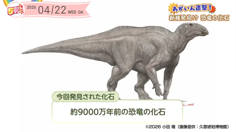 イメージ1
