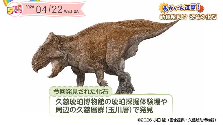 久慈琥珀博物館で恐竜の化石を探そう！｜テレいわ屋