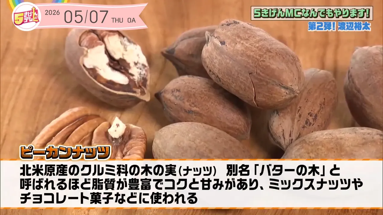 ピーカンナッツ 殻付き　国産　2026年産　750g×10 最終品 最終値下げ‼︎ ごきげんMCなんでもやります第2弾～ピーカンナッツ～｜テレいわ屋