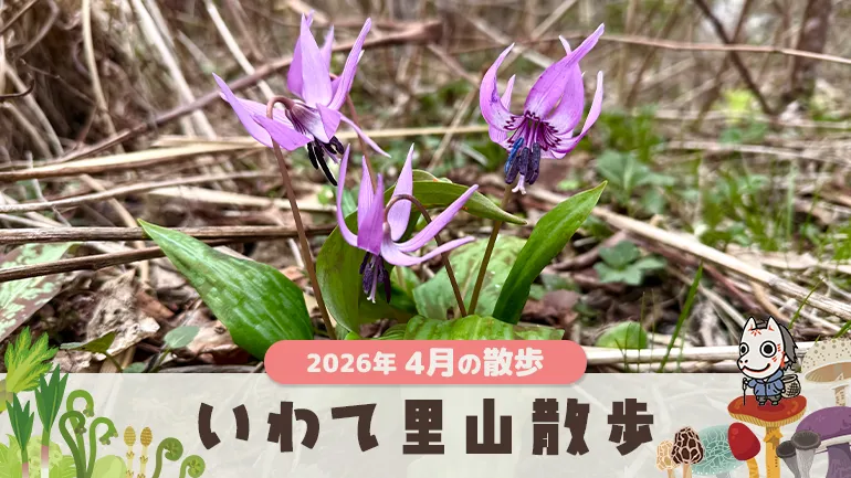 #19 いわて里山散歩｜2026年4月の画像