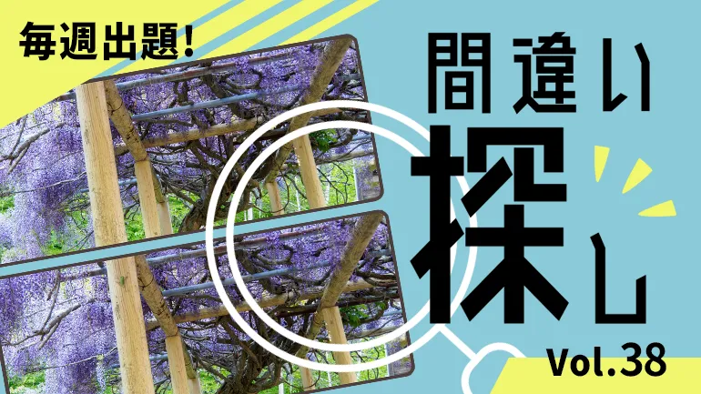 間違い探し Vol.38の画像