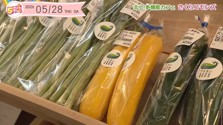 イメージ1