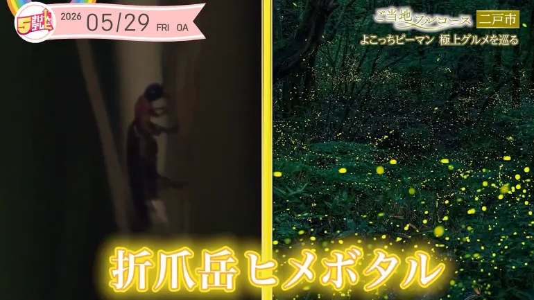イメージ1