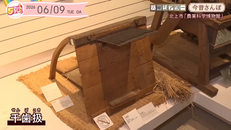今昔さんぽ 〜現代の原型となった昔の道具たち〜｜テレいわ屋