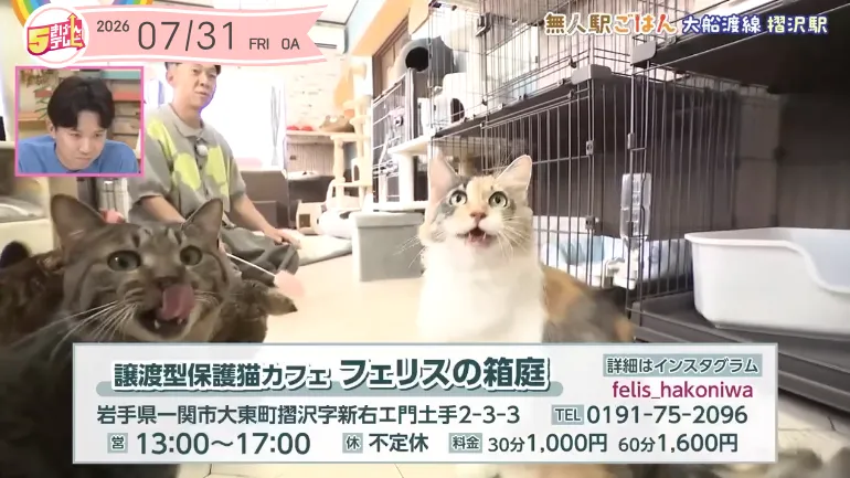 イメージ1
