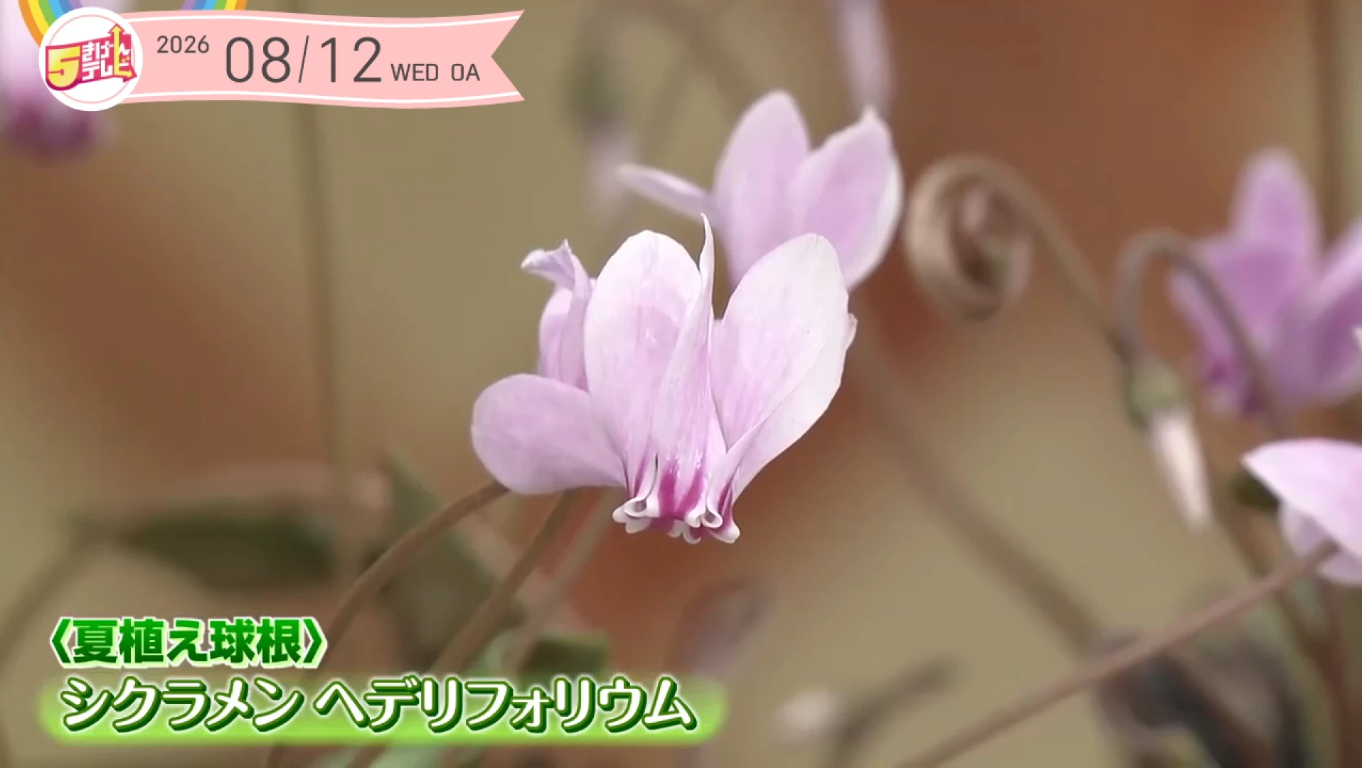 イメージ2