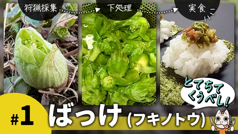 ばっけを採って絶品薬味を作ろうの画像
