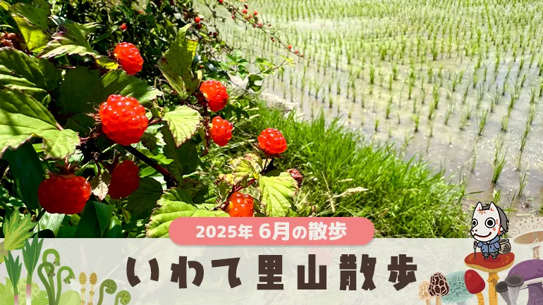 #14 いわて里山散歩｜2025年6月の画像