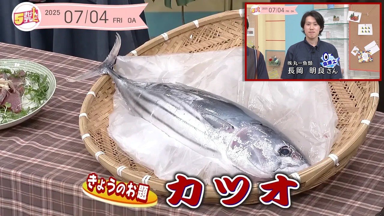 ５きげん知恵袋〜カツオ〜の画像