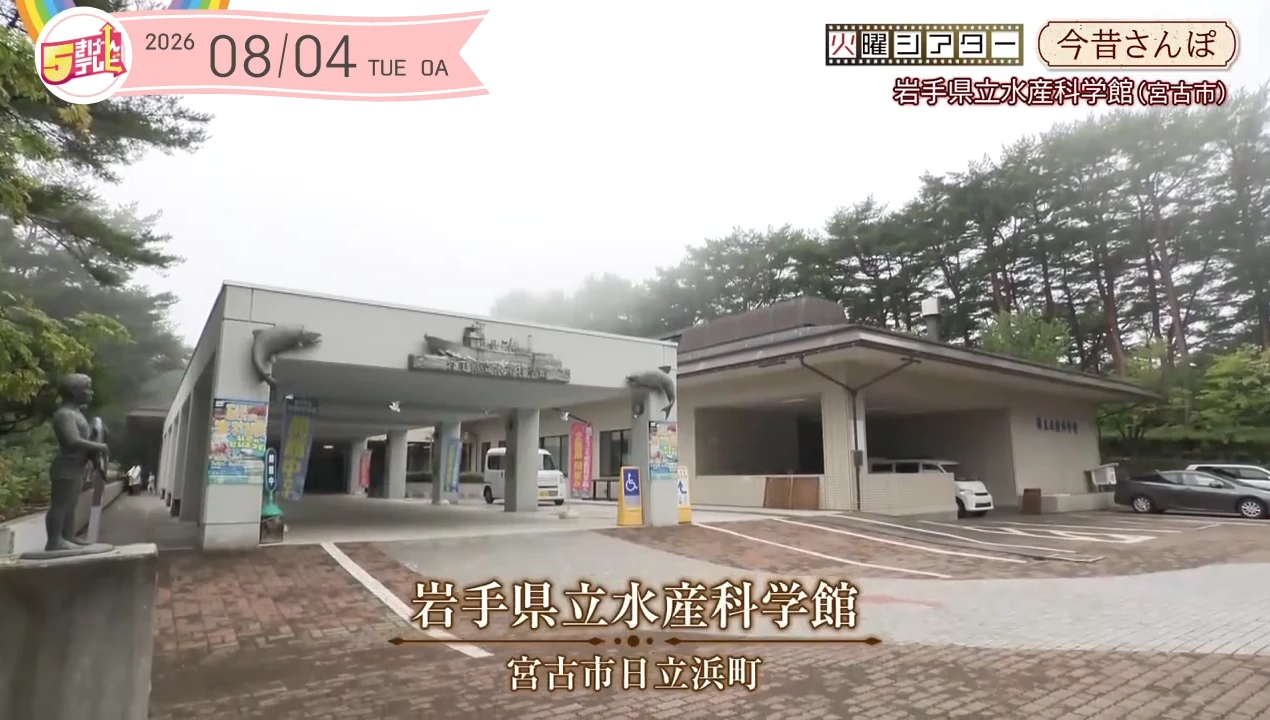 イメージ1
