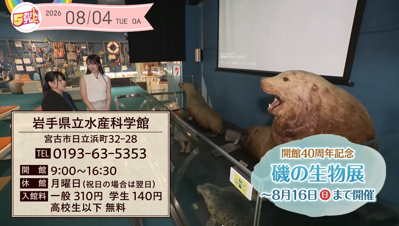 イメージ1