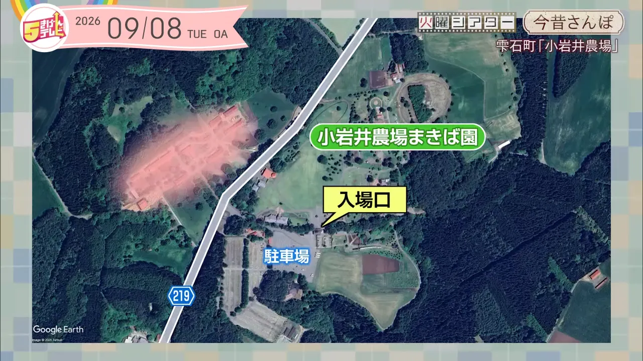 イメージ2