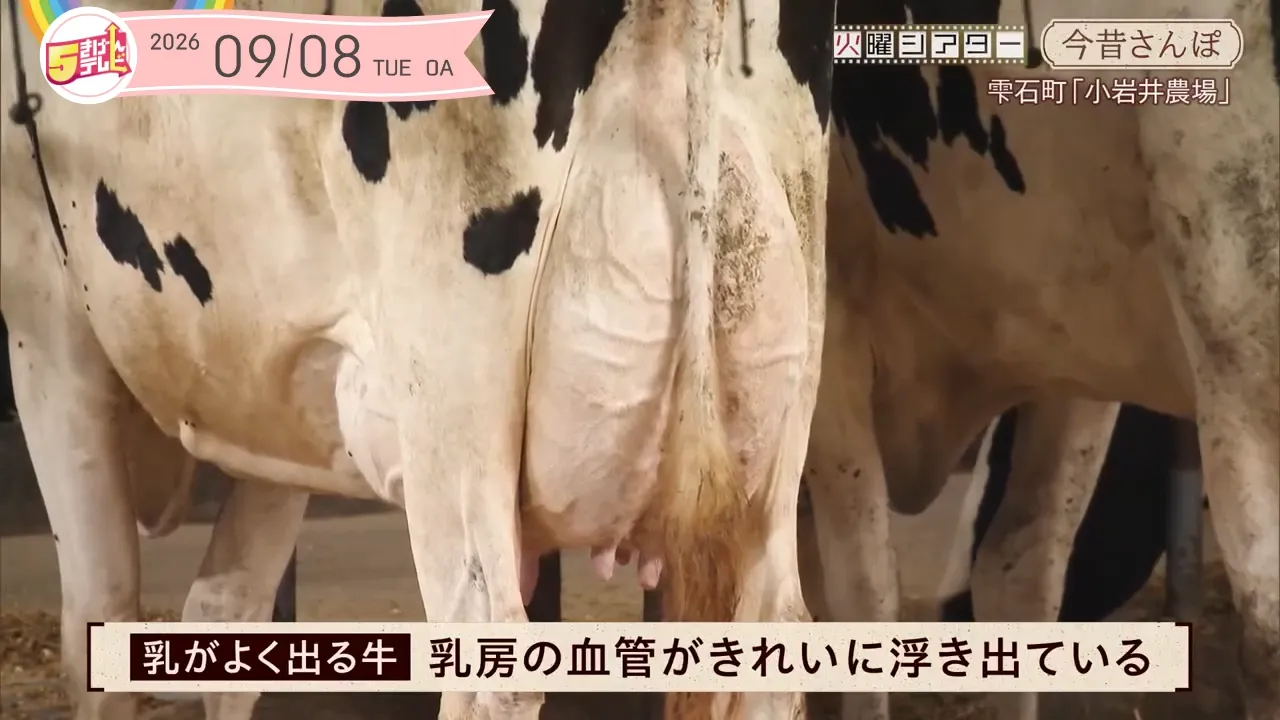 イメージ1