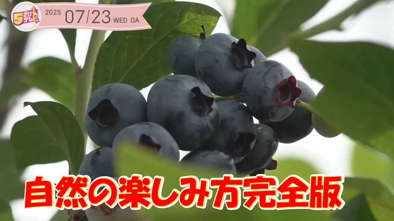 水Dの夏休み 自然を楽しむ ~花巻市~の画像