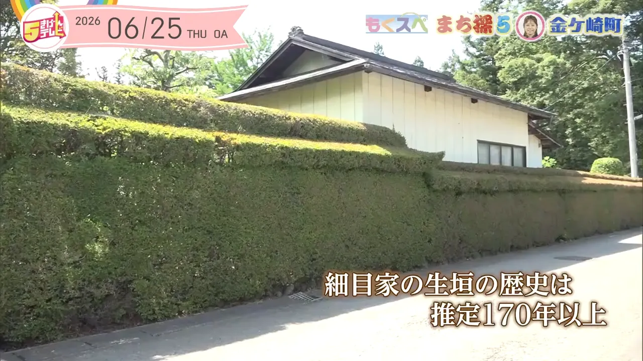 イメージ2