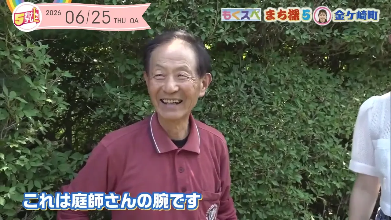 イメージ2