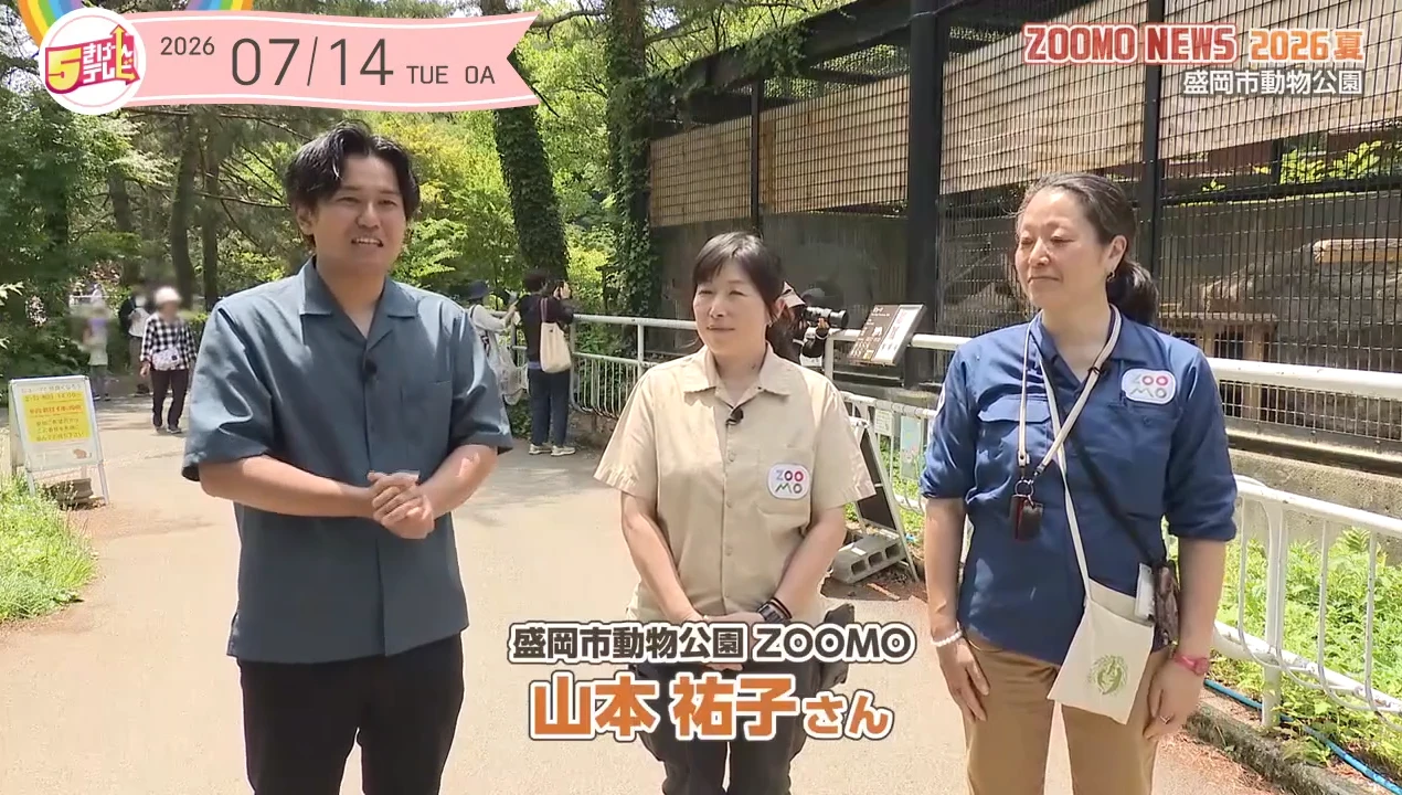 イメージ1