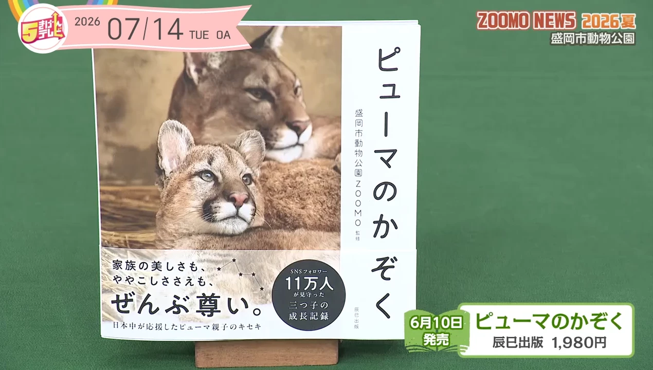 イメージ1